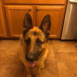 Meet your Posher, Danny